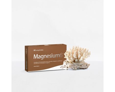 Vitae-Magnesium-6-20-Comprimidos-0
