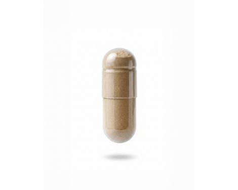 GH Probioderm Balance 30 Cápsulas sin receta