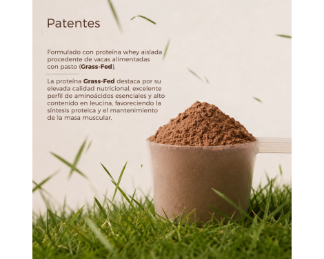 Para qué sirve Kobho Proteina Whey Aislada Sabor Neutro 600gr
