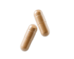 Dónde comprar GH Probioderm Balance 30 Cápsulas