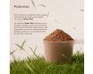Para qué sirve Kobho Proteina Whey Aislada Sabor Neutro 600gr