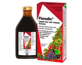Floradix-Elixir-500ml-G-0